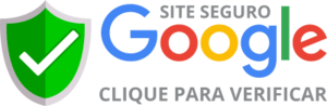 google-site-seguro